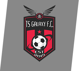 ts-galaxy-logo2223