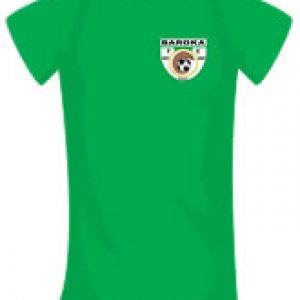 Baroka FC