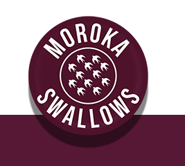moroka-swallows-2324
